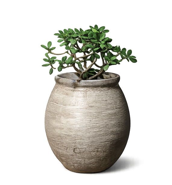 Cavallo Console